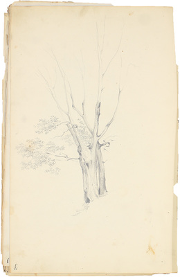 Штернберг Василий Иванович. Альбом рисунков с пейзажами, портретами и набросками 